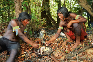 índios preparando peixe