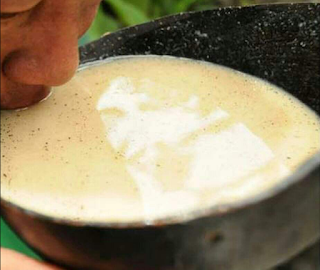 bebida fermentada dos índios