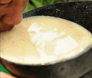 bebida fermentada dos índios