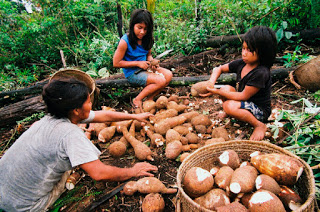 crianças preparando alimento