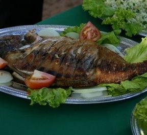 comida de mato grosso